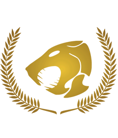 BlackWolves logo